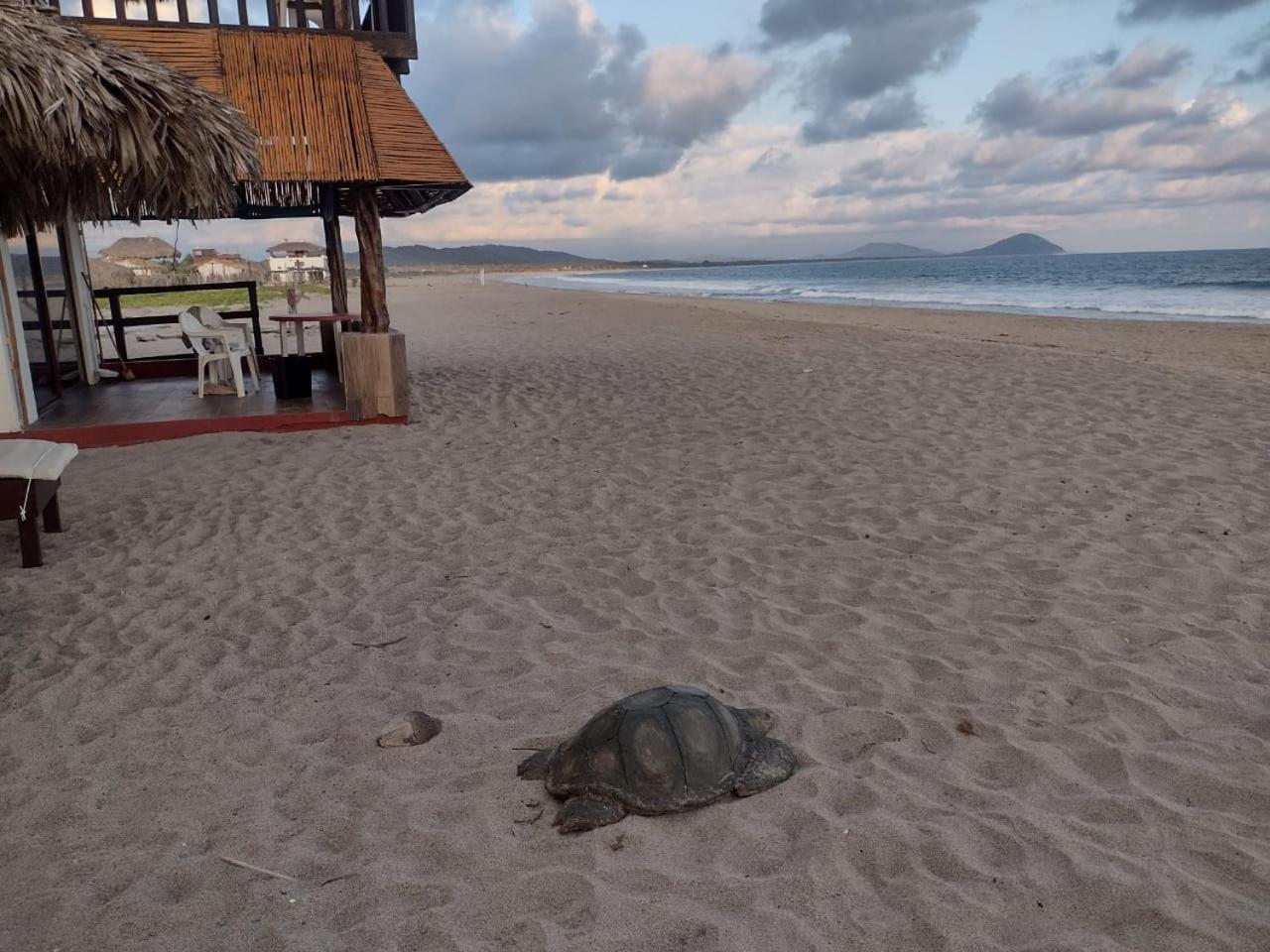 Cabanas Alta Mar Guayabas Экстерьер фото